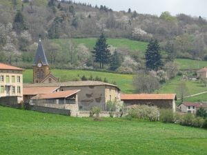 11 dsc03084 1