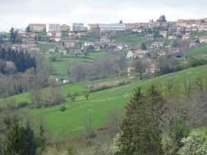 12 dsc03104 1