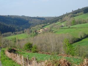 14 dsc03132 1
