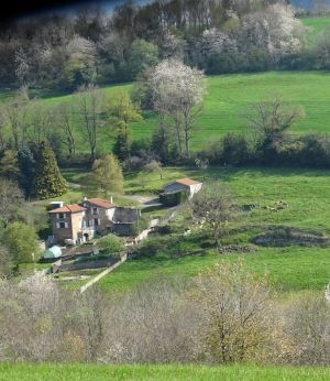 17 dsc03147 1