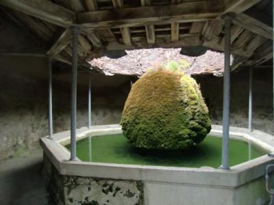 Vallee du serein lavoir de dissangis